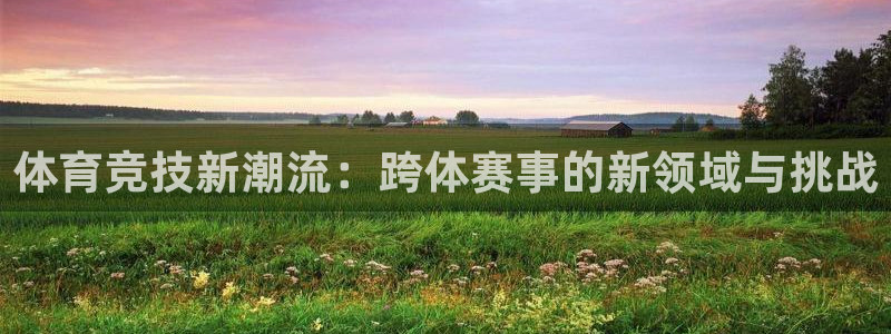 一竞技官网下载招商电话号码是多少:体育竞技新潮流:跨体赛事的