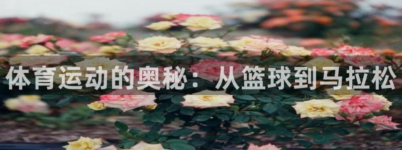 一竞技官方正版app娱乐平台:体育运动的奥秘:从篮球到马拉松