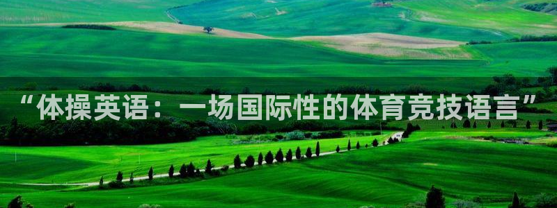 一竞技官方正版app集团E.ON:“体操英语:一场国际性的体